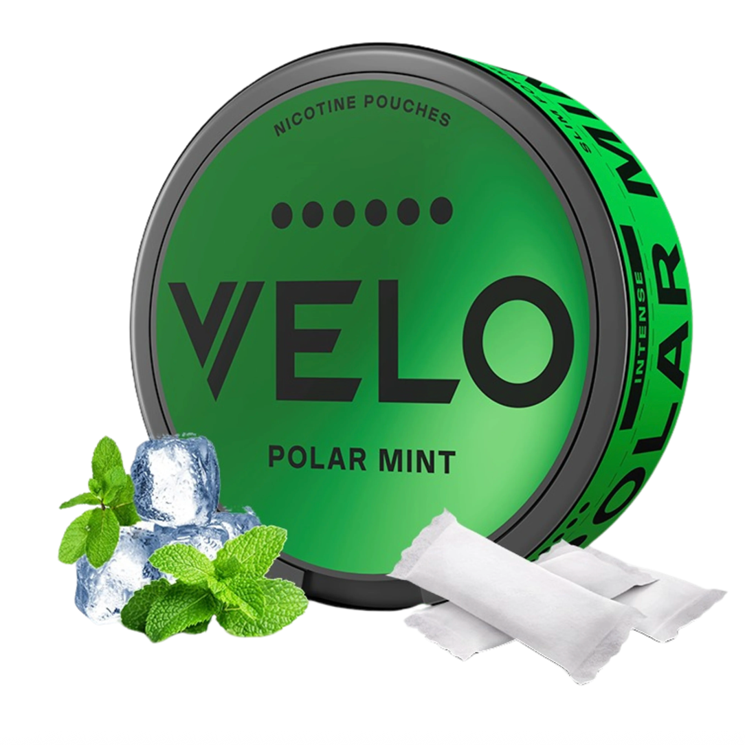 VELO Polar Mint Intense 14 mg (PK)