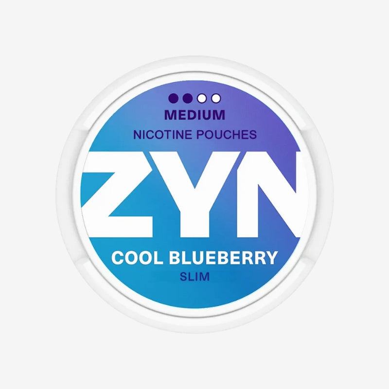ZYN Cool Blueberry 6mg