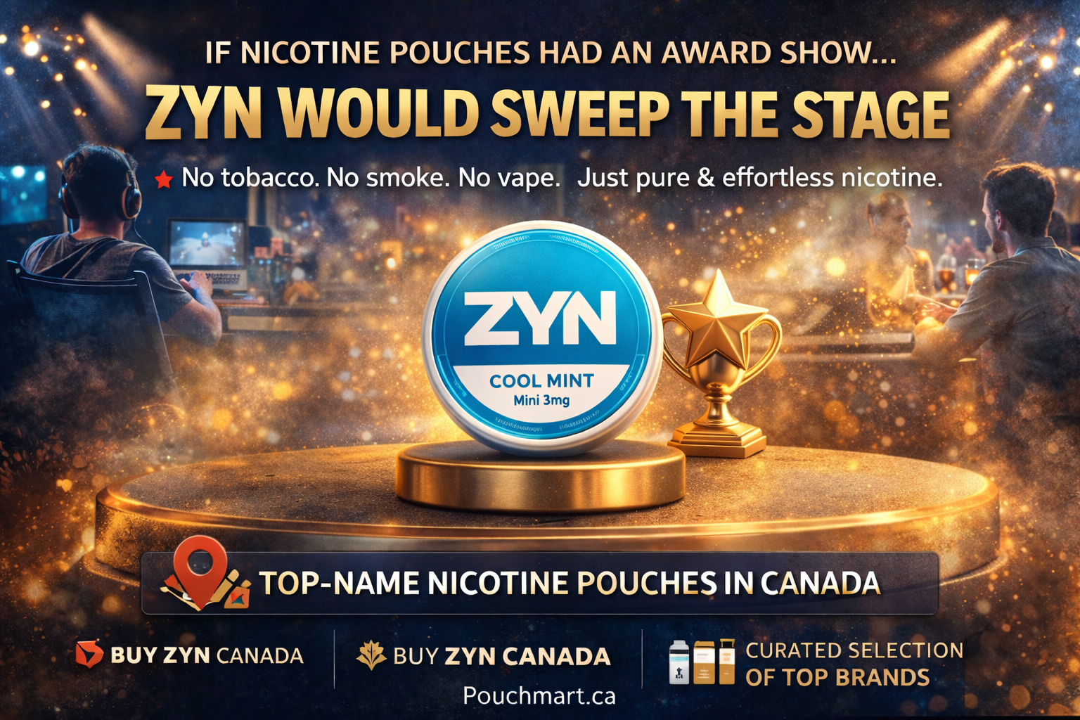 ZYN Nicotine Pouches #1