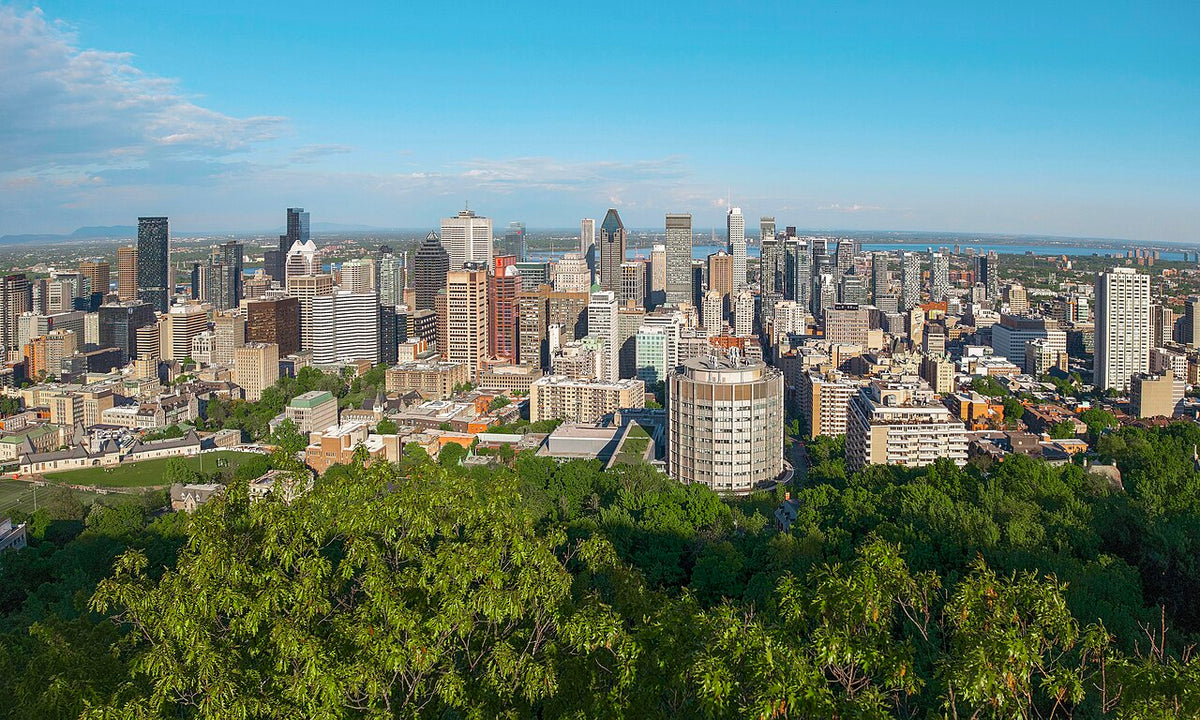 Buy Nicotine Pouches in Montreal | Delivery Across Quebec