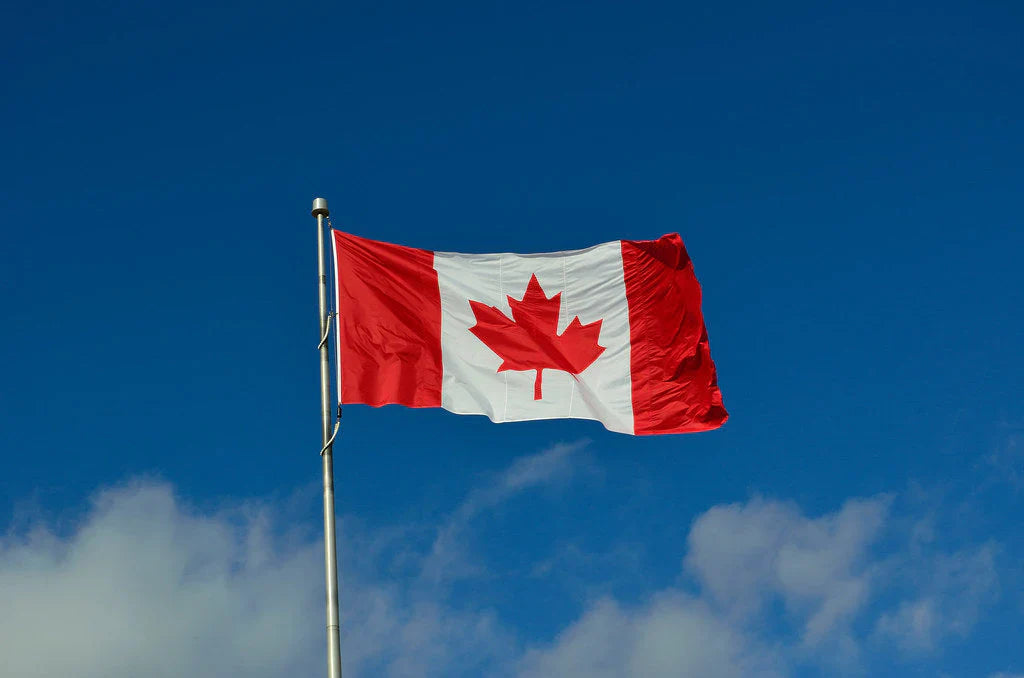 Buy Nicotine Pouches in Canada | Fast Shipping & Top Brands
