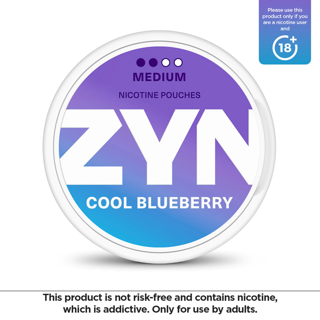 ZYN Cool Blueberry 6 mg (PK)